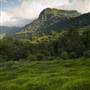 Tweed Valley 1 of 2