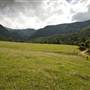 Tweed Valley 1 of 2