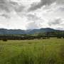 Tweed Valley 1 of 2