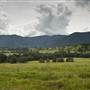 Tweed Valley 1 of 2