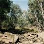 Parkes