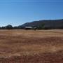 Templeton property, Naradhan