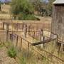 The Springs Homestead - Dubbo