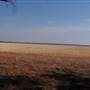Weethalle