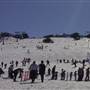 Perisher