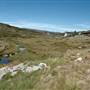 Perisher