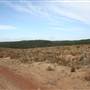 Penrose State Forest - Southern Highlands