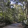 Pebbly Beach Road - Murramarang National Park