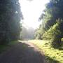 Robertson - Southern Highlands