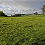 Robertson - Southern Highlands