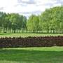 Robertson - Southern Highlands