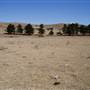Picton Property