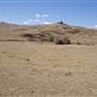 Picton Property