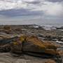 Shellharbour 1