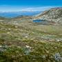 Snowy Mountains - Semi-Dry Steppes