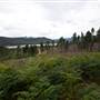 Snowy Mountains - Semi-Dry Steppes