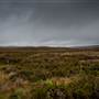 Snowy Mountains - Semi-Dry Steppes