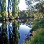 Thredbo River