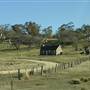 Thredbo