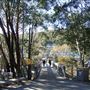 Thredbo