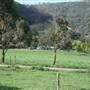 Tullimbar Village