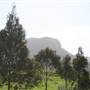 Tullimbar Village