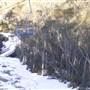 Thredbo