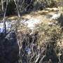Thredbo