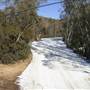 Thredbo