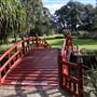 Wollongong Botanic Garden