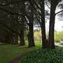 Parklands Country Garden & Lodges