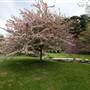 Parklands Country Garden & Lodges