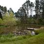 Parklands Country Garden & Lodges
