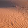 Perry Sandhills