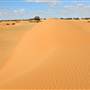 Perry Sandhills