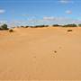 Perry Sandhills
