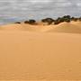 Perry Sandhills