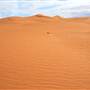 Perry Sandhills