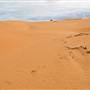 Perry Sandhills