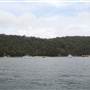The Basin Campground