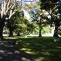 The Domain