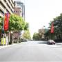 Sydney CBD - Macquarie Street