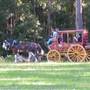 Timbertown