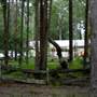 Timbertown