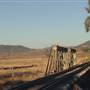 Wilbertree Rail Bridge, near Mudgee