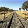 Wollar, NE of Mudgee