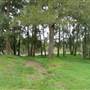 Yarramundi Reserve, Agnes Banks