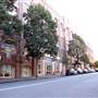SYDNEY City Streets & Lanes
