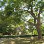Kirkbride Callan Park