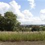Kirkbride Callan Park
